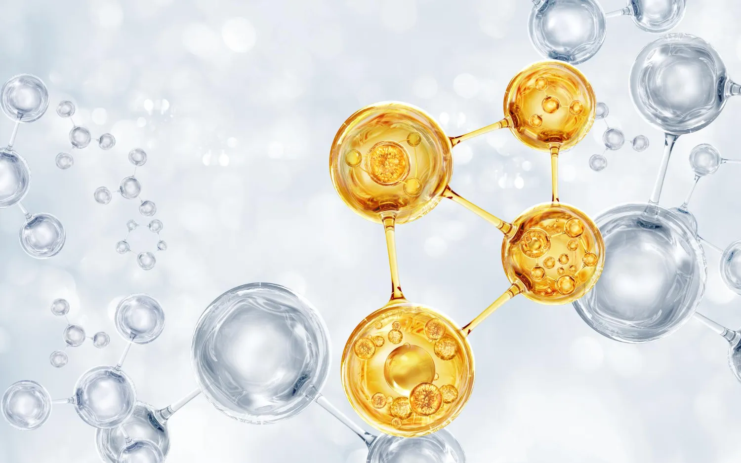 ภาพประกอบบทความ